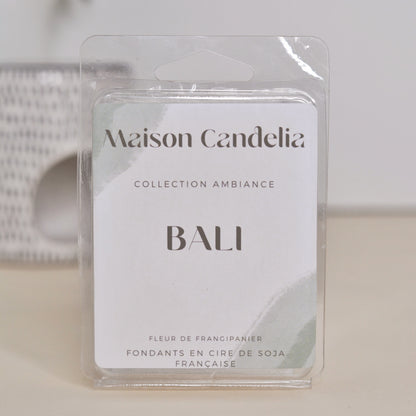 Tablettes Fondantes Parfumées à la Cire de Soja - 12 Fragrances de Grasse | 60g