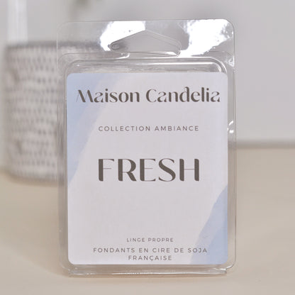 Tablettes Fondantes Parfumées à la Cire de Soja - 12 Fragrances de Grasse | 60g