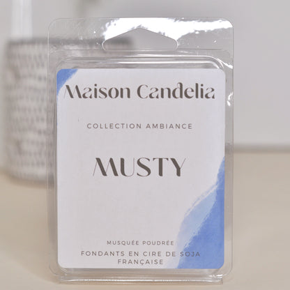 Tablettes Fondantes Parfumées à la Cire de Soja - 12 Fragrances de Grasse | 60g