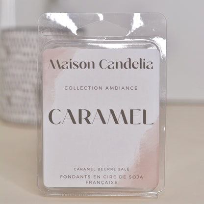 Tablettes Fondantes Parfumées à la Cire de Soja - 12 Fragrances de Grasse | 60g