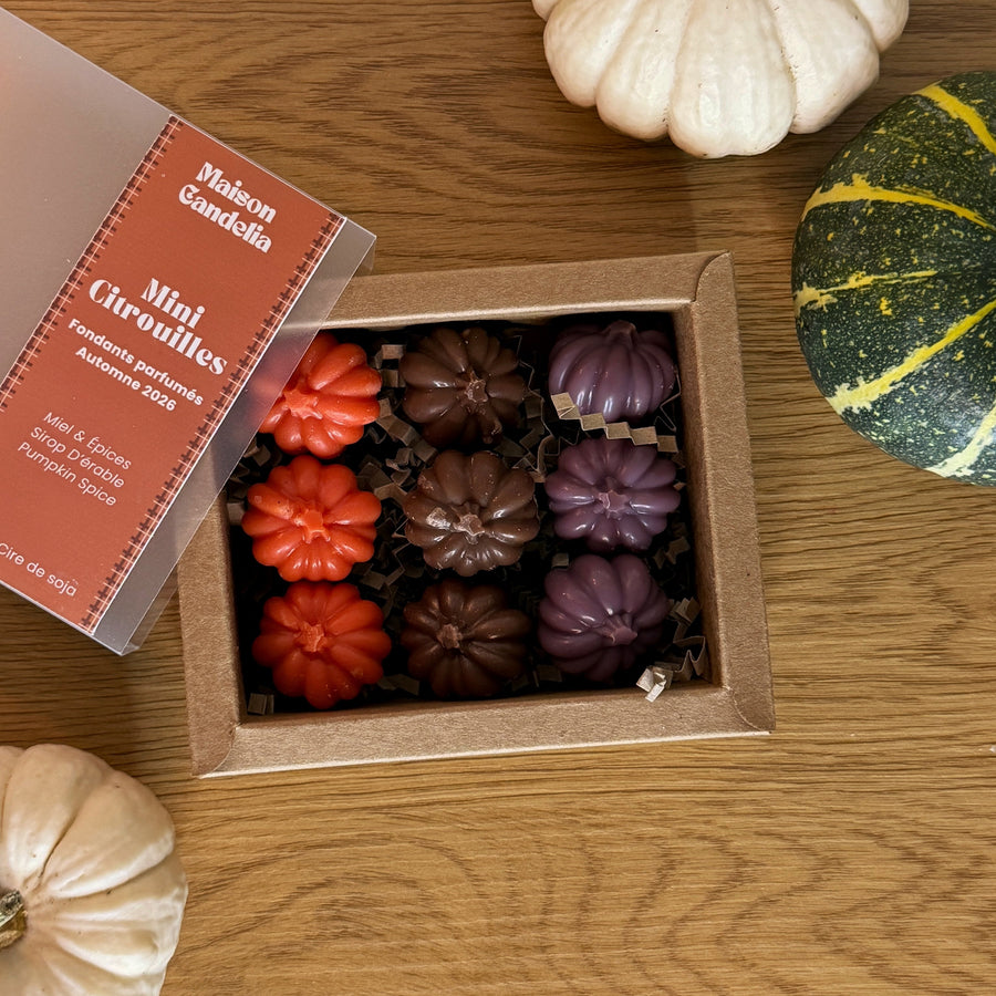 Coffret Mini-Citrouilles – 3 fondants parfumés – Maison Candelia
