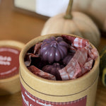 Fondants Parfumés Collection Automne 2026 (100g)