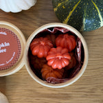 Fondants Parfumés Collection Automne 2026 (100g)