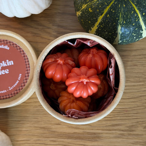 Fondants Parfumés Collection Automne 2026 (100g)