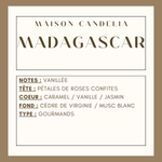 Bougie parfumé Jesmonite Madagascar - Vanille - Maison Candelia